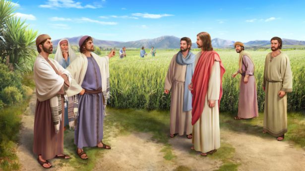 religious-world-condemning-the-church-ZB-2018.jpg